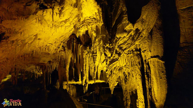 Frozen Niagra in the Mammoth Caves, magnificent dripstones 