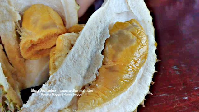 Makan Durian Musang Queen | Sedap & Murah 