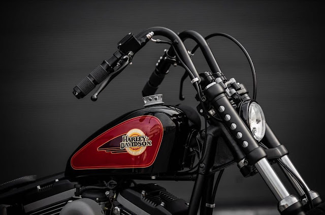 Harley Davidson By MB Cycles Hell Kustom