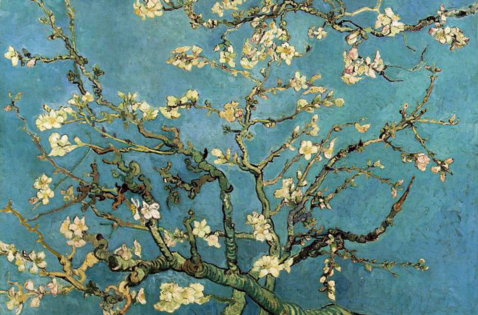 picodur: Chrome Yellow: Almond Blossoms - Van Gogh