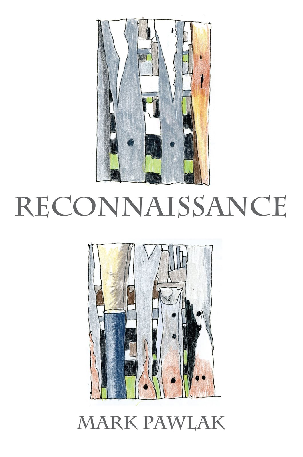 Reconnaissance: New & Selected Poems & Poetic Journals 2005-2015