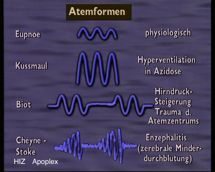 Heilpraktiker Ausbildung Atemformen