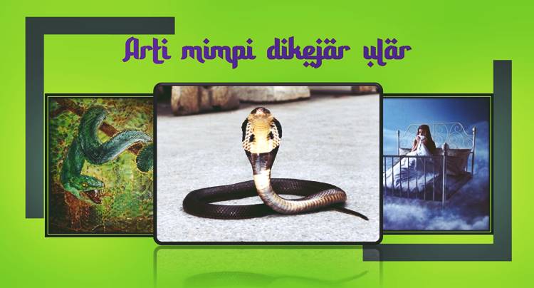 Arti Mimpi Dikejar Ular 