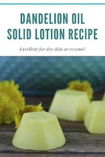 How to make lotion bars diy three ingredients. These easy lotion bars are made with dandelion oil, beeswax, and shea butter. DIY solid lotion for dry skin.  Dandelion oil benefits for your skin help relieve dry skin or eczema.  This is the best solid lotion for dry skin.  How to make a hard lotion or solid lotion.  #solidlotion #lotion #dandelion
