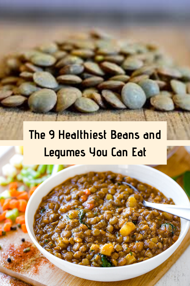 Which Beans Have The Most Protein