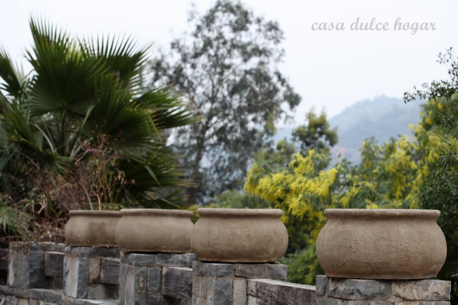 casa dulce hogar: Por el jardín y la casa a mediados de invierno