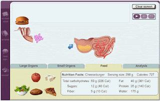 gizmo melting points answer key