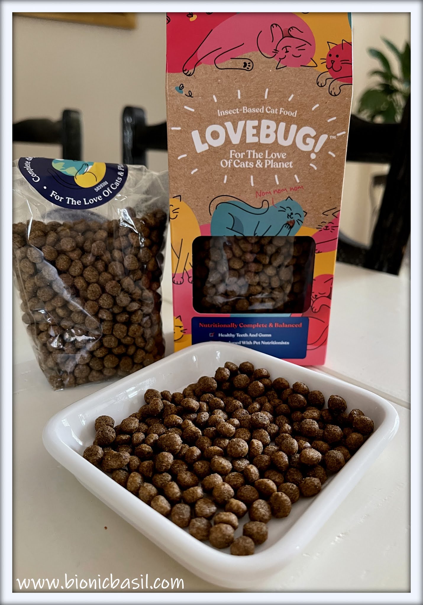 Bionic Basil® home of Basil and The B Team What's In The Box