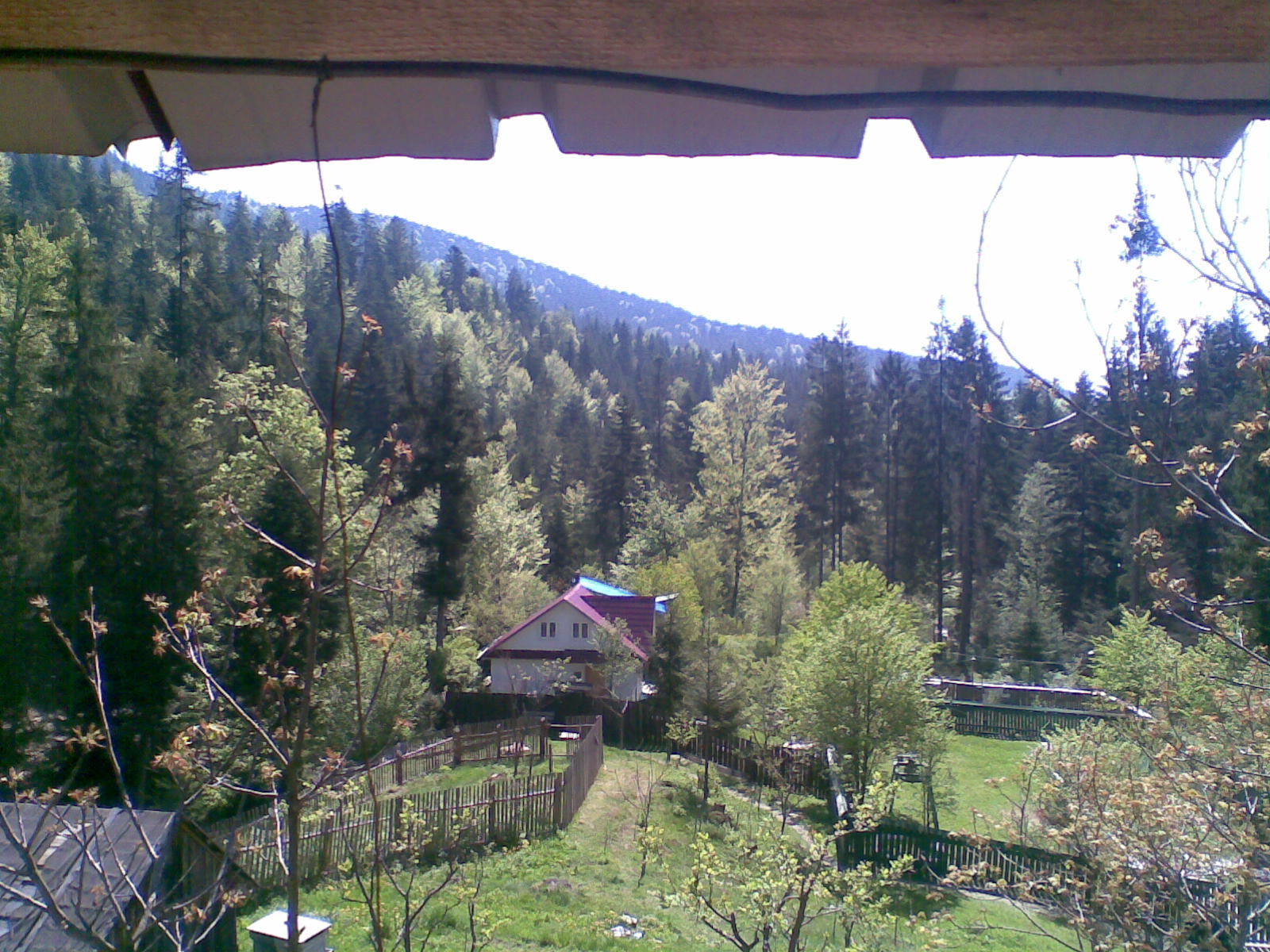 Melly Pe drumuri de munte