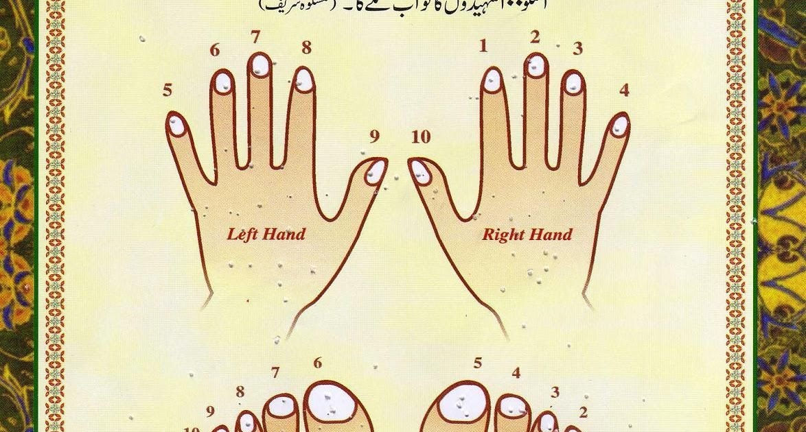 ISLAMIC BLOG: The Sunnah Way of Cutting the Nails