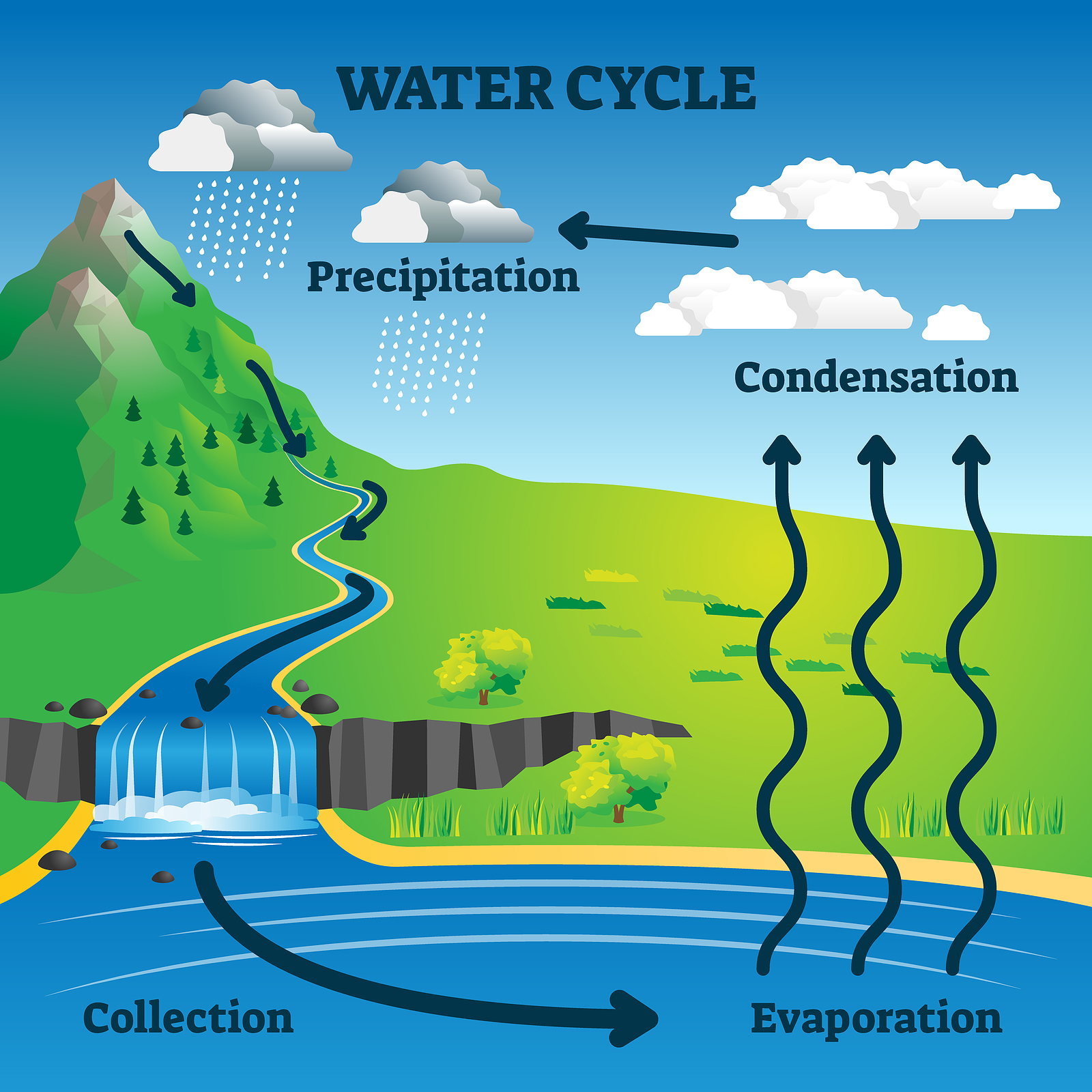 Collection 104+ Images water cycle pictures with labels Completed