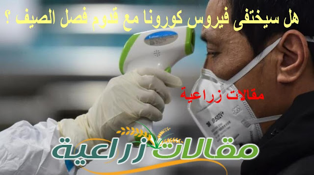 هل سيختفي فيروس كورونا عند قدوم فصل الصيف ؟ اعرف معنا - موقع مقالات زراعية
