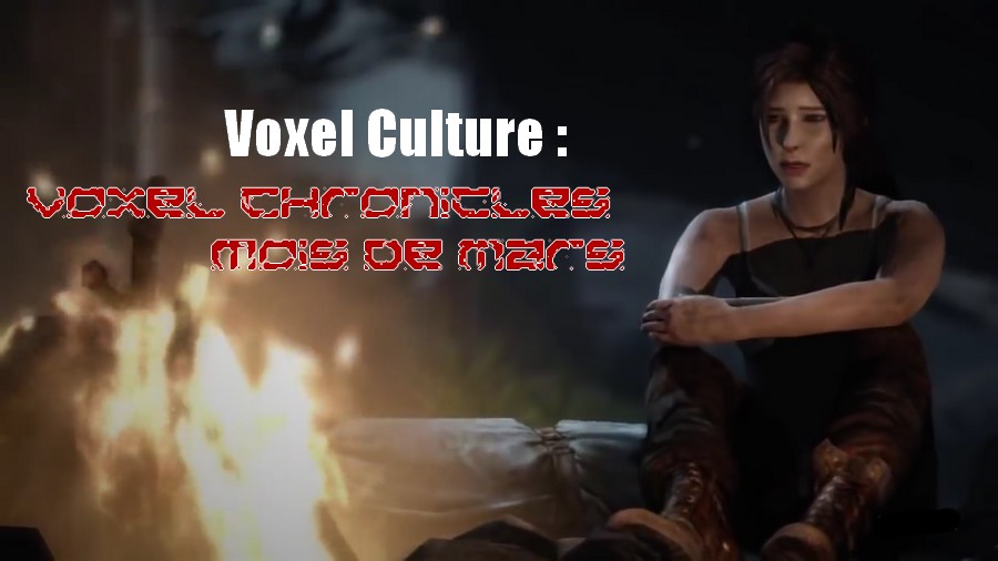 [Chronicles] Voxel Chronicles le Remaster : Retour sur le mois de Mars