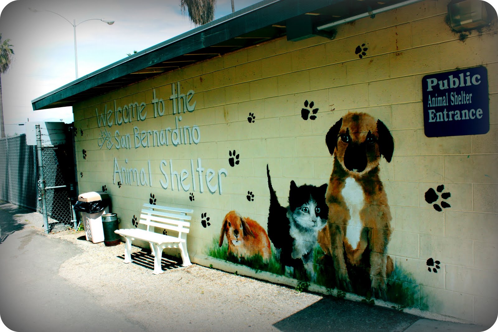 Adopt A Shelter Pet About The Shelter Adopt A Shelter Pet About The Shelter