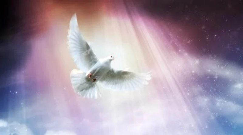 O Espírito Santo desceu em forma de pomba sobre Jesus