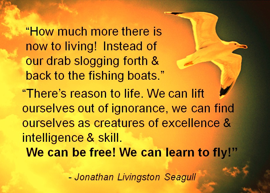 Richard Bach Quotes Jonathan Livingston Seagull