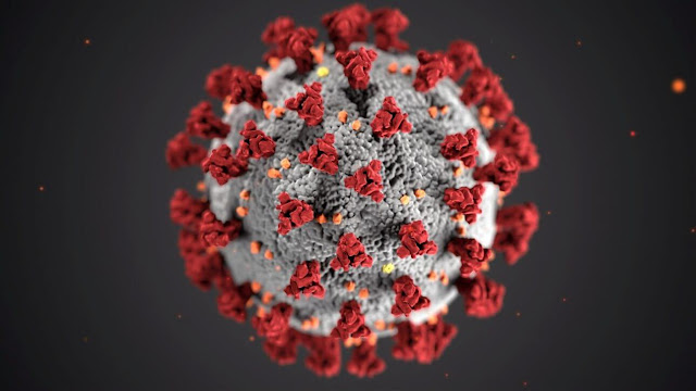 Ultrastructural morphology exhibited by coronaviruses - CDC