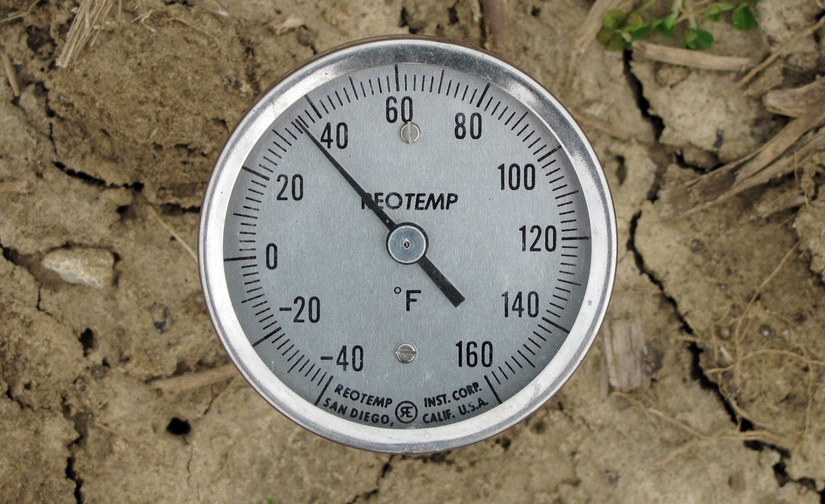 Colorado Mountain Gardener Taking your Soil’s Temperature