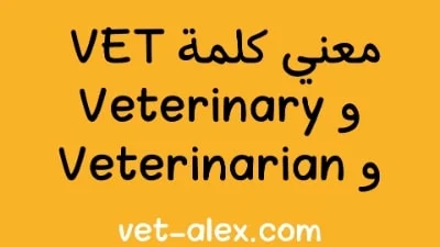 ما معني كلمة vet و veterinarian و veterinary medicine