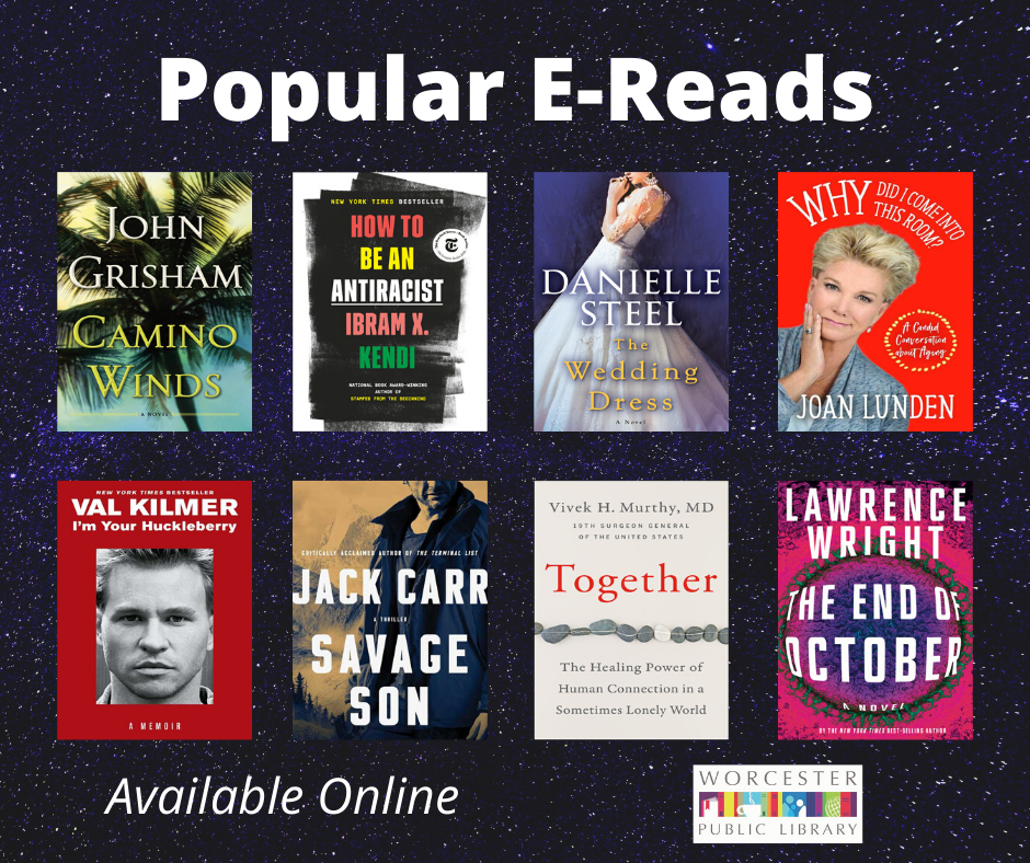 The Biblio Files by Reference WPL Popular EReads of the Week