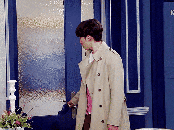 LimitedAnimatedGlassfrog-size_restricted