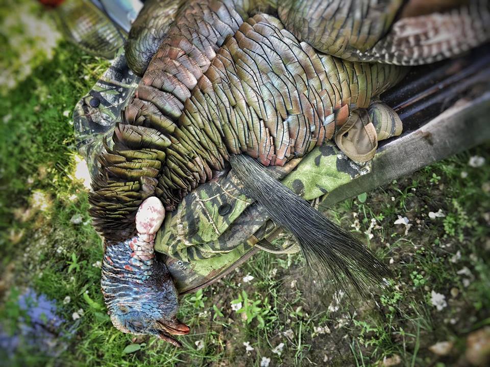 Marian&rsquo;s Hunting Stories, etc., etc., etc&hellip;: Tagging A Texas Eastern