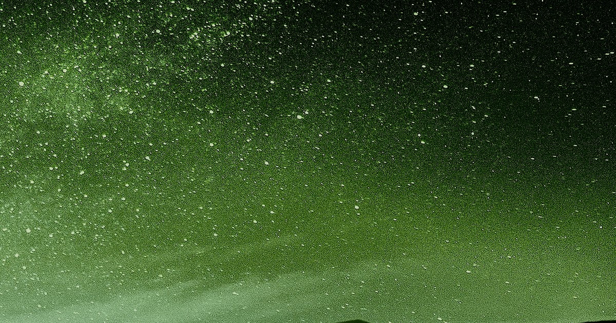 Amoled Wallpaper 4K / Dark Amoled 114k Mobile Wallpapers Top Free Dark