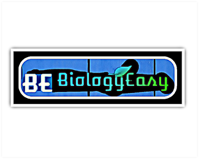MCQ Biology Easy - Learn with quizzes