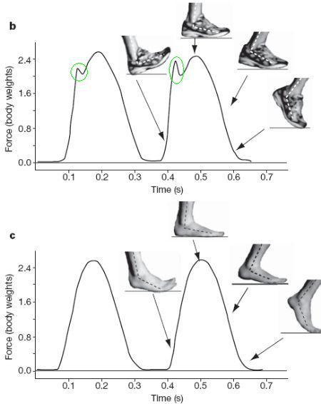 foot actions foot actions