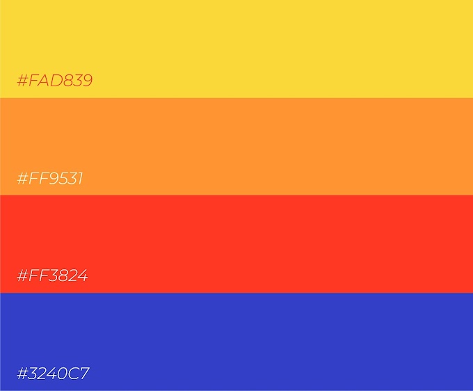 Color Palette #01