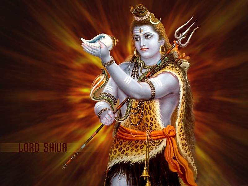 lord shiva wallpaper lord shiva wallpaper
