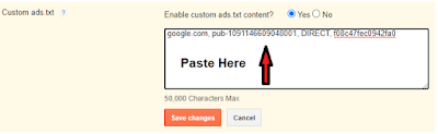 Google Adsense Error Earnings at risk fix some ads.txt file issues