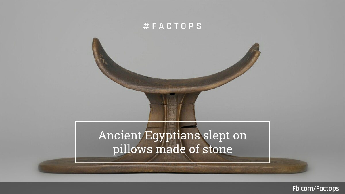 Ancient egyptians slept on pillows made of stone The Fact Base