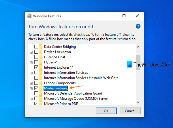 Windows 기능 옵션 사용