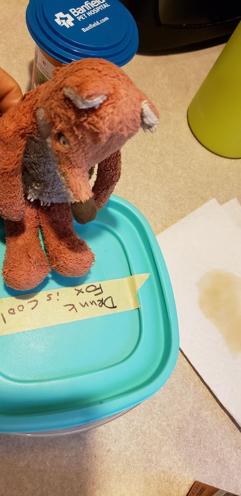 Little Fox's Blog What is going on with Drunk Fox? Post 2