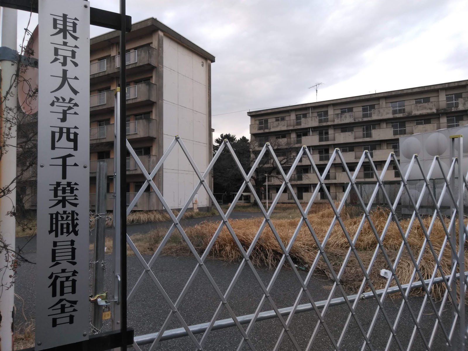 千駄木菜園 東大第二工学部と千葉大