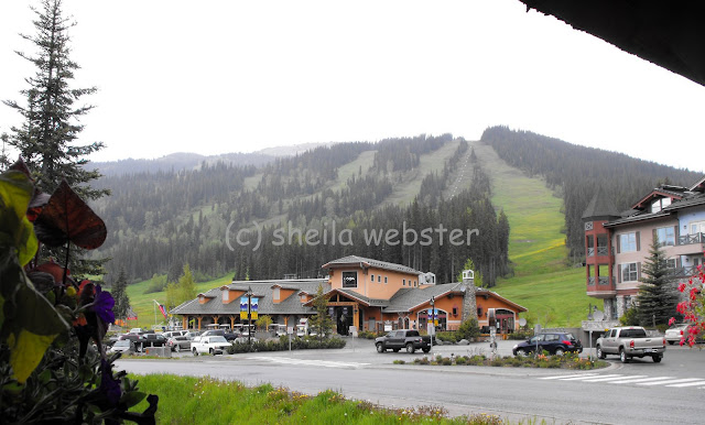 Part of the village is seen at the base of the ski hill on Tod Mountain.