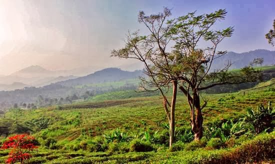 Tempat Wisata Di Subang, Jawa Barat