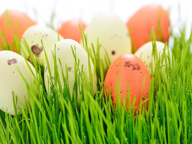 Eri värisiä pääsiäismunia rairuohon seassa, kuva: Pixabay