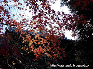  12 月中旬來太宰府看紅葉，太宰府內賞楓最有名氣的光明禪寺、 竈 門神社和觀世音寺都已經落葉 ( 伸延閱讀 :  2014年九州紅葉情報 ) ，雖然沒有紅葉的光明禪寺也不錯，但總覺得有點可惜。原以為未必有機會看紅葉，但實際上在太宰府天滿宮內，就算是在 12 月中旬，只要走對地方...