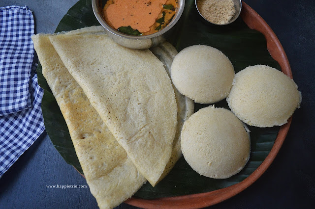 Foxtail Millet Idli Dosa Recipe | Thinal Idi Dosa Recipe | Millet Recipes