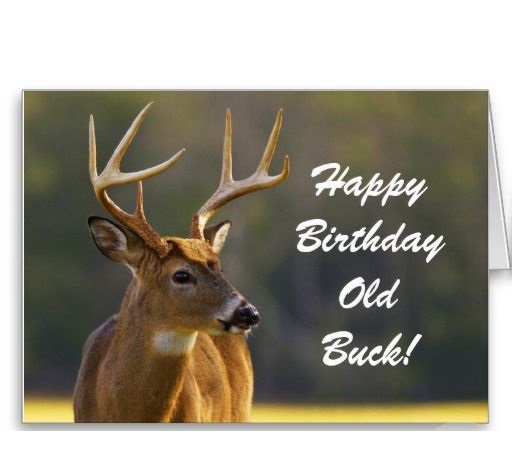 free-printable-deer-hunting-birthday-cards