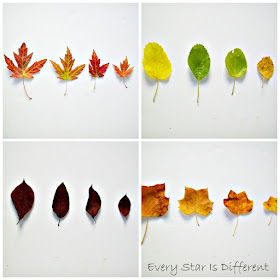 Autumn Leaves Unit with Free Printables - Every Star Is Different
