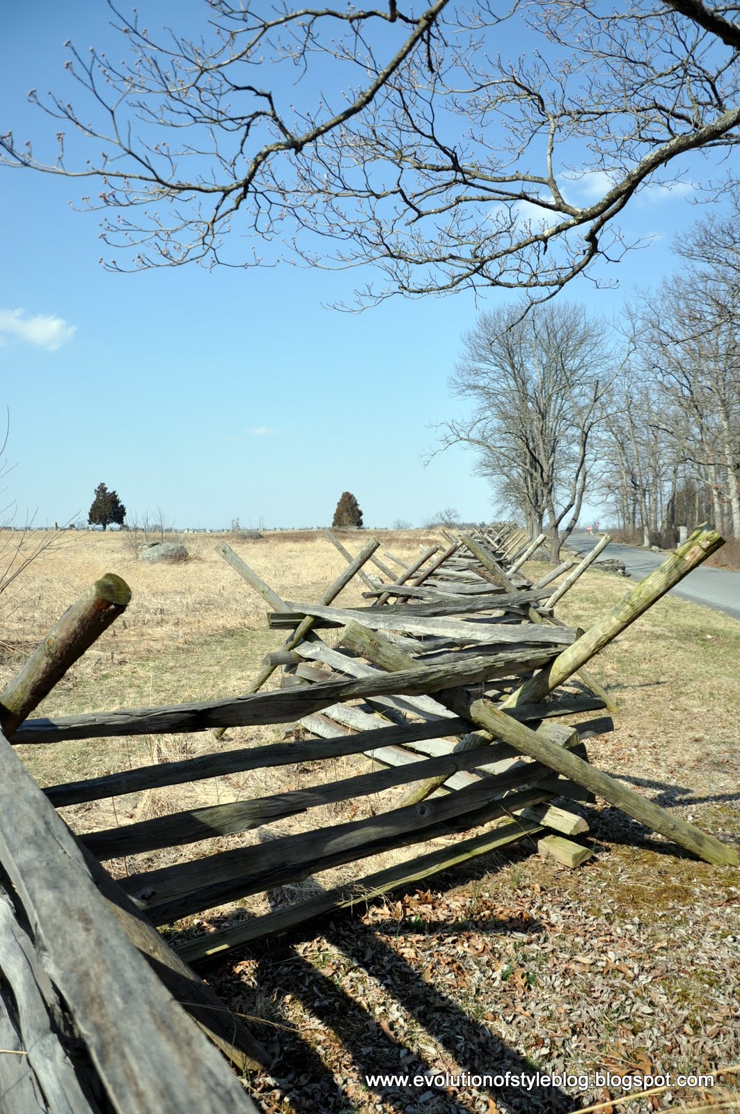 New Chapter Begins - Getting my Bearings - Evolution of Style