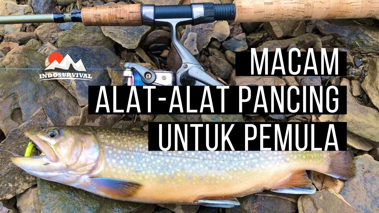 Cara Memilih Reel Pancing Spinning Lengkap