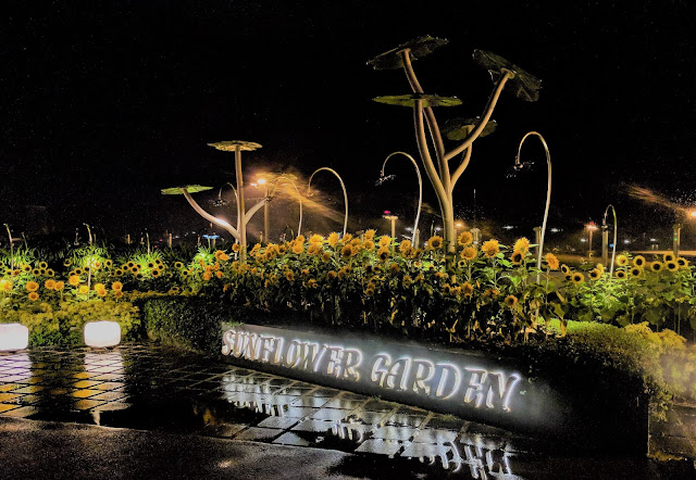 Sunflower Garden Sunflower Garden at the rooftop of Changi Airport
