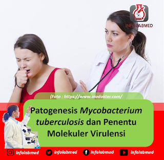 Patogenesis Mycobacterium tuberculosis dan Penentu Molekuler Virulensi
