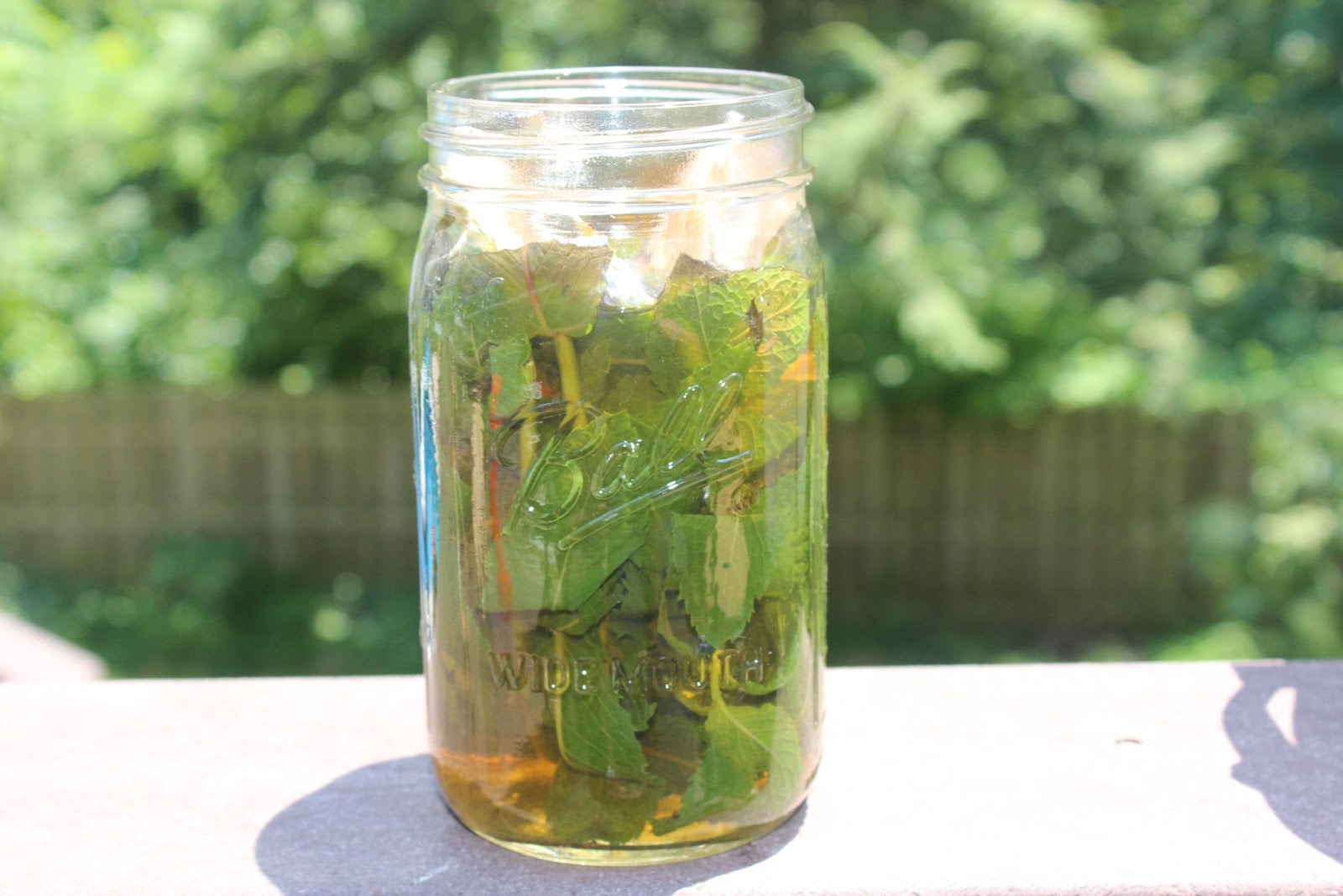 Maple Springs Farm Health Benefits of Mint and Mint Green Tea