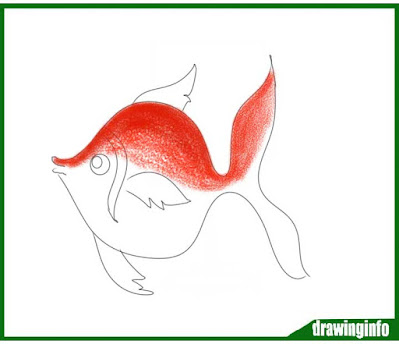 fish-drawing