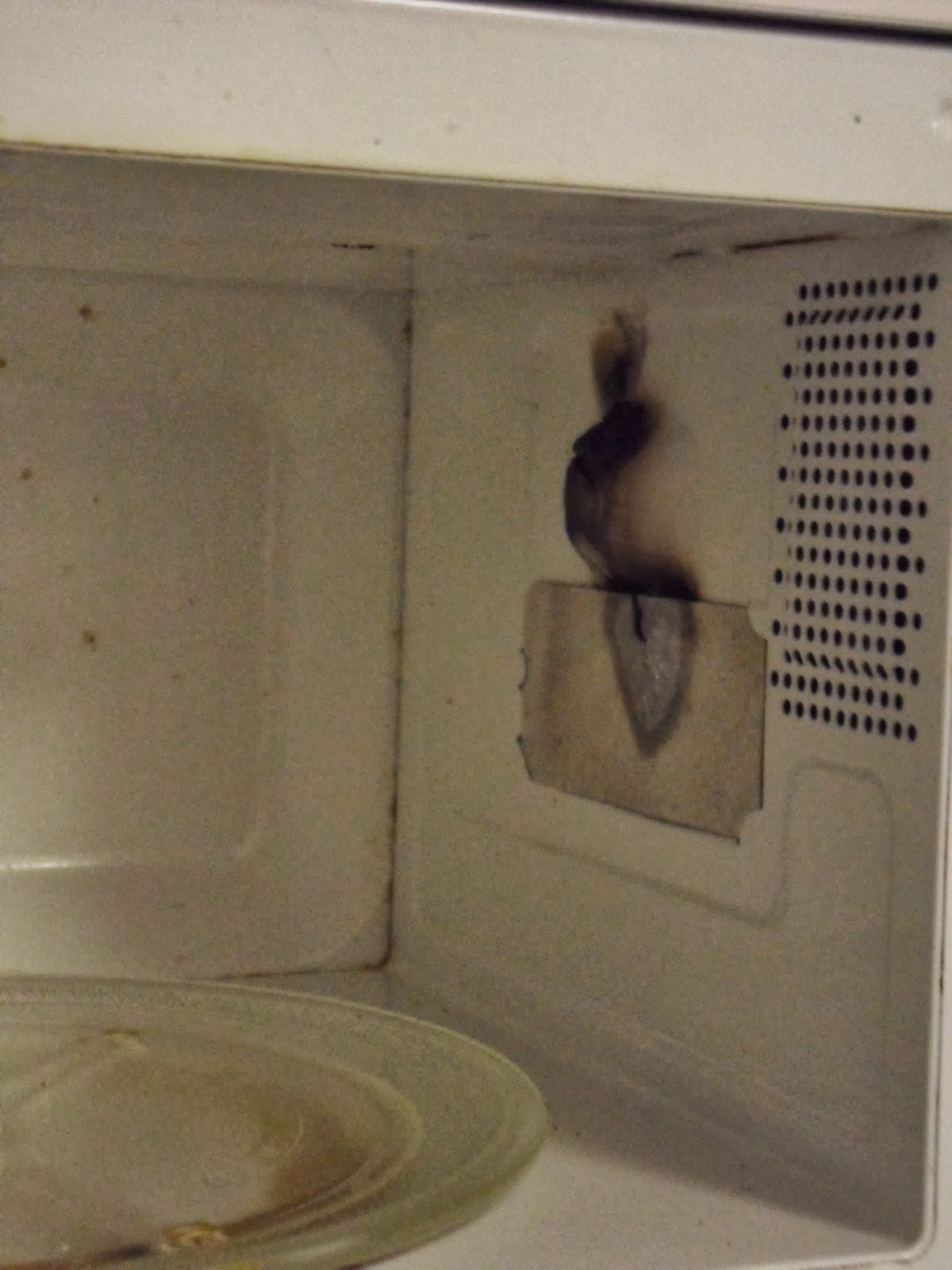 PotterAshleigh Blogs Exploding Microwave